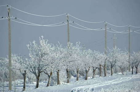 E-Distribuţie Dobrogea: 107 localităţi din judeţele Constanţa, Tulcea, Călăraşi şi Ialomiţa nu erau alimentate cu energie electrică la ora 18