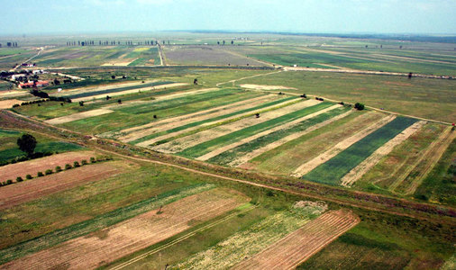 INS va efectua în următoarea lună o anchetă în 330.000 de ferme privind structura exploataţiilor agricole din România
