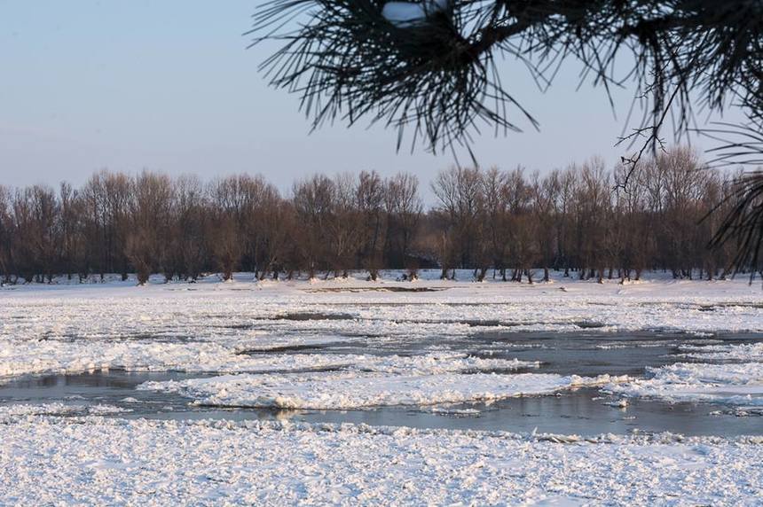 Armatorii cu nave blocate pe Dunăre cer autorităţilor să ia măsuri pentru spargerea gheţii de pe fluviu