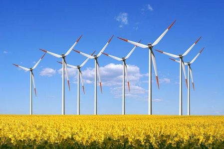 Producătorii de energie eoliană susţin că au acumulat pierderi mari şi cer Guvernului să modifice urgent legislaţia prin OUG