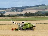 Asociaţii ale furnizorilor britanici de alimente cer guvernului un acord pentru Brexit fără tarife 