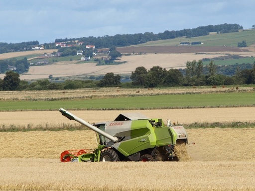 Asociaţii ale furnizorilor britanici de alimente cer guvernului un acord pentru Brexit fără tarife 