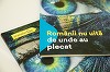 Românii din străinătate au trimis în ţară peste 22 milioane euro în 2016 prin compania lituaniană TransferGo