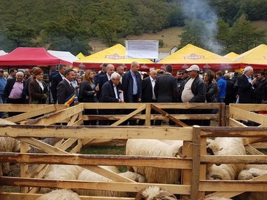 Petre Daea, despre oaie: Acest animal care ne străbate istoria ca un fir roşu