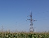 E-Distribuţie Dobrogea a investit 1,7 milioane lei pentru montarea de distanţiere în judeţele Călăraşi, Ialomiţa şi Tulcea

