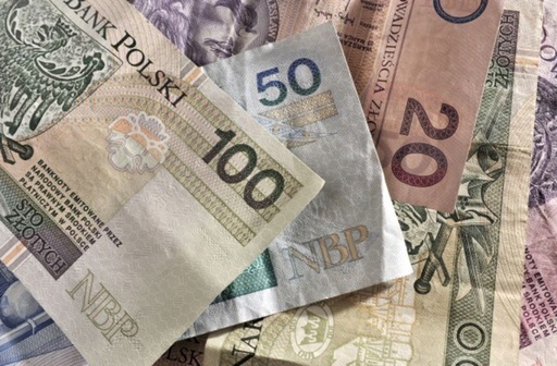 Polonia a lansat o campanie împotriva practicilor companiilor de optimizare fiscală 