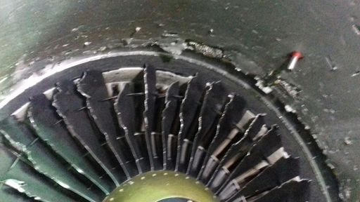 Blue Air: Incidentul de duminică seara a fost cauzat de o pasăre care a intrat la motor