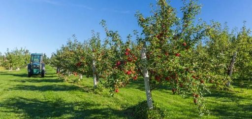 Ministerul Agriculturii vrea să reorganizeze 13 institute şi staţiuni de cercetare-dezvoltare agricolă, unele urmând a fi desfiinţate