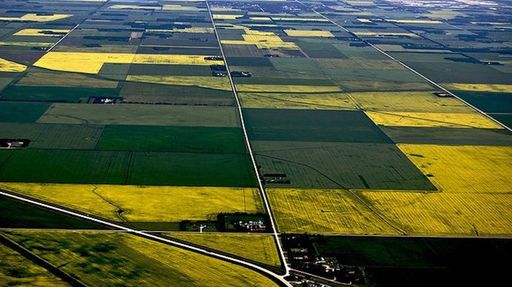 Consiliul Concurenţei a autorizat tranzacţia prin care o firmă din Emiratele Arabe Unite a preluat Agricost, compania care are în concesiune teren agricol în Insula Mare a Brăilei