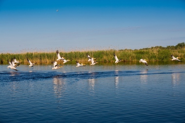 STUDIU: Pensiunile şi hotelurile din Delta Dunării au un grad de ocupare de 90% de Paşte şi 1 Mai 