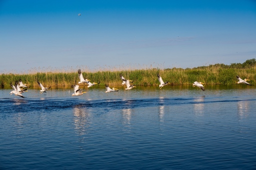 STUDIU: Pensiunile şi hotelurile din Delta Dunării au un grad de ocupare de 90% de Paşte şi 1 Mai 