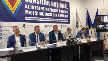 Consiliul pentru IMM-uri respinge introducerea obligativităţii încheierii anuale de către firme a asigurării de răspundere profesională