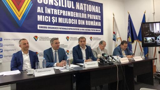 Consiliul pentru IMM-uri respinge introducerea obligativităţii încheierii anuale de către firme a asigurării de răspundere profesională