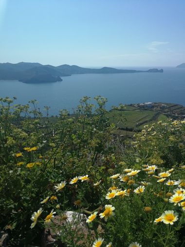 Burcea, Paralela 45: Cele mai căutate destinaţii de vacanţă rămân Grecia, Turcia, Spania, dar prind teren Egiptul, Tunisia şi locurile exotice