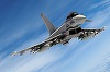 Franţa, Germania şi Spania vor să producă un prototip pentru un avion de luptă european până în 2026
