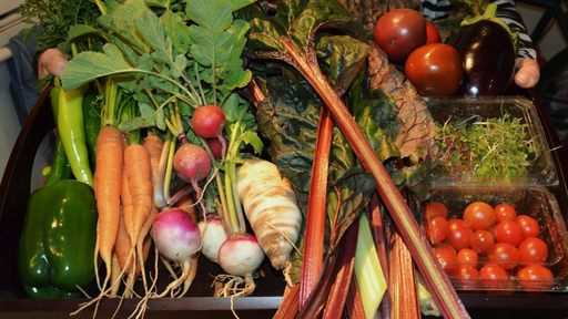 STUDIU: Piaţa de agricultură ecologică în Europa este estimată la 37 miliarde de euro. Românii vor să mănânce bio, dar foarte puţini ştiu ce înseamnă  