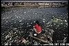 China are nevoie de aproape 440 de miliarde de dolari pentru a ecologiza zonele rurale