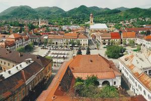 Baia Mare primeşte o finanţare de peste 2,6 milioane de euro din partea Comisiei Europene pentru proiecte inovatoare 