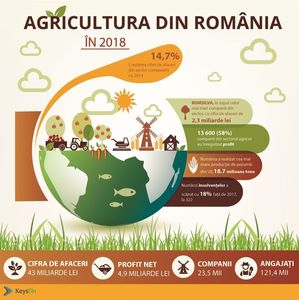 ANALIZĂ: Agricultura românească va creşte cu jumătate de miliard de euro în acest an. Companiile locale din domeniul agriculturii au atins anul trecut afaceri de 43 miliarde lei