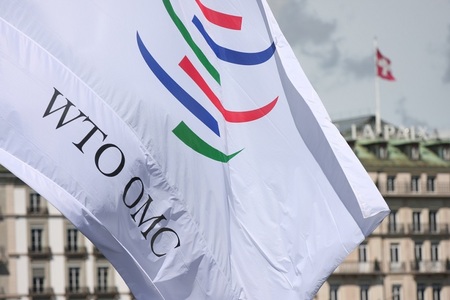 Uniunea Europeană a pledat la OMC pentru retragerea tarifelor impuse de Donald Trump importurilor de metale