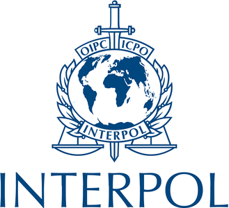 Interpolul va condamna răspândirea pe scară largă a criptării, care favorizează infractorii - surse