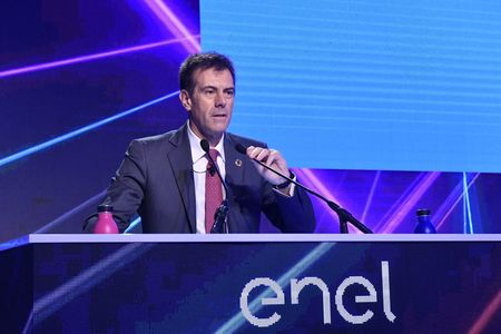 Directorul financiar al Enel a fost numit co-preşedinte al grupului de lucru al directorilor financiari din cadrul ONU