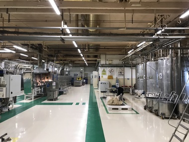 Colliers International atrage investitori interesaţi de achiziţia fostei unităţi de producţie Nestlé de la Timişoara 