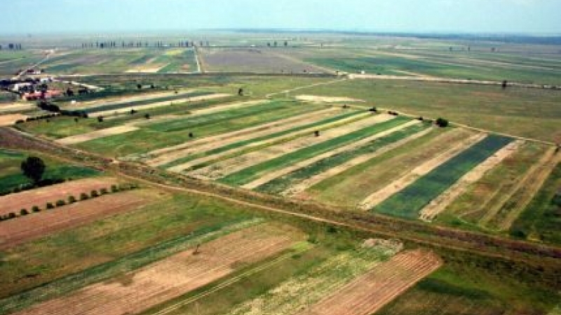 Asociaţia Română a Companiilor de Explorare şi Producţie Petrolieră cere reexaminarea legii privind vânzarea terenurilor agricole: Dacă legea intră în vigoare, doar fermierii actuali cu activitate agricolă în România vor mai putea cumpăra terenuri