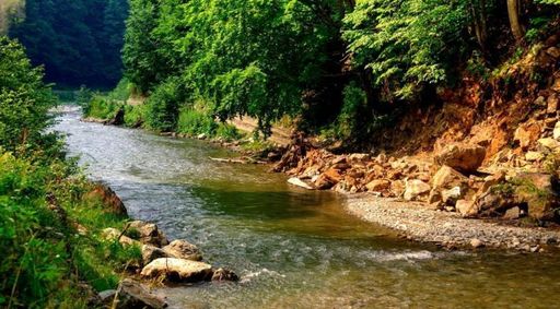 Administraţia ”Apele Române” a aplicat amenzi de 7,2 milioane lei în acest an, din care aproape jumătate pentru exploatare ilegală a agregatelor minerale