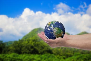 Compania de consultanţă Boston Consulting Group anunţă că va investi 400 de milioane de dolari până în 2030 pentru a avea impact zero asupra climei