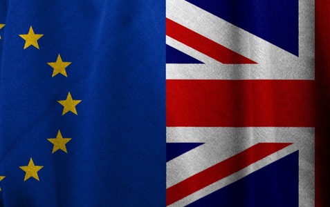 Negociatorul britanic pentru Brexit: UE a arătat clar că nu garantează că Regatul Unit va fi inclus pe lista de ţări terţe aprobate pentru importuri de alimente