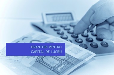 Ministrul Economiei anunţă că 7.000 de IMM-uri au aplicat pentru accesarea granturilor pentru capitalul de lucru în primele zece minute de la lansarea înscrierilor. În jumătate de oră erau deja peste 11.000 de IMM-uri