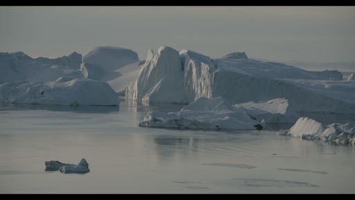 STUDIU: În 2050, aproximativ 200 de milioane de oameni vor fi nevoiţi să migreze din cauza schimbărilor climatice