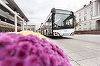 Solaris va livra 10 autobuze hibrid la Reghin, contract de 3,6 milioane de euro