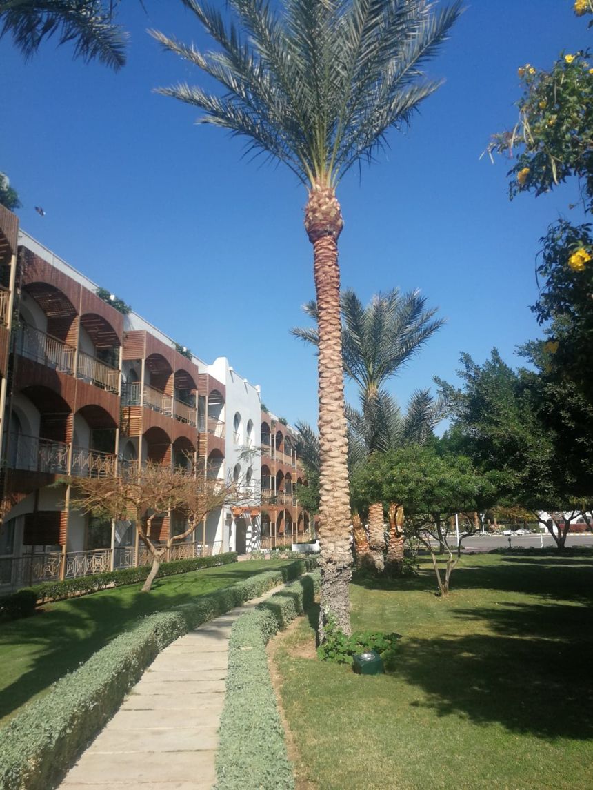 Hotelier Hurghada: Estimăm că abia în 2022 ne vom reveni la nivelul de dinainte de pandemie. 100 de camere sunt deja ocupate de români / Ce spune despre turiştii români - FOTO