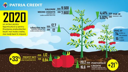Profitul net al Patria Credit IFN a crescut cu 33% în 2020, la 1,12 milioane de euro. "Legumicultorii au dus-o mai bine ca urmare a pandemiei"
