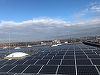Enel X România va instala peste 2.800 de panouri fotovoltaice pentru magazinele Penny