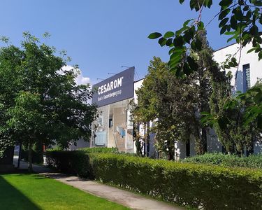 Producătorul plăcilor ceramice Cesarom şi-a planificat investiţii de 2 milioane euro în acest an la fabrica Sanex din Cluj-Napoca