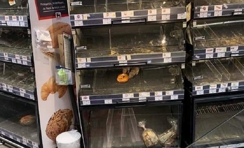 Magazinul Mega Image din Bucureşti în care au fost surprinse imagini cu şobolani printre alimente, amendat cu 10.000 de lei de ANSVSA şi închis temporar pentru deratizare şi igienizare 
