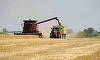 Guvernul a adoptat o hotărâre care modifică schema de ajutor de stat pentru reducerea accizei la motorină utilizată în agricultură
