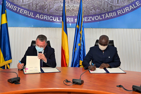 Ministerul Agriculturii: Congo vrea să importe cantităţi mari de cereale din România 
