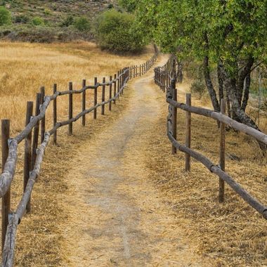 Fermierii pot obţine finanţare pentru proiectele de investiţii în infrastructura de acces agricolă, suma disponibilă pentru investiţii fiind de 105 milioane euro. AFIR a publicat ghidul solicitantului
