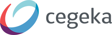 Furnizorul de soluţii IT&C Cegeka preia DAS Solutions în Moldova