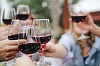 Producătorul românesc de vin ecologic Vifrana va investi 1,59 milioane lei în achiziţia de echipamente şi vrea ca din a doua jumatate a anului viitor să atingă o cotă de piaţă de 20% cu vinurile perlante din totalul vinurilor ecologice produse
