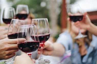 Producătorul românesc de vin ecologic Vifrana va investi 1,59 milioane lei în achiziţia de echipamente şi vrea ca din a doua jumatate a anului viitor să atingă o cotă de piaţă de 20% cu vinurile perlante din totalul vinurilor ecologice produse