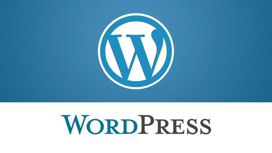 Există peste 10.000 de găuri de securitate în plugin-urile de Wordpress