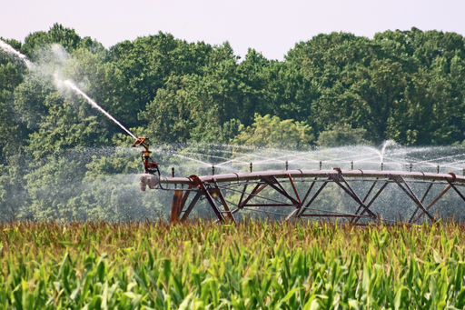 Ministerul Agriculturii anunţă că infrastructura de irigaţii este pregătită pentru funcţionare în condiţii optime. Suprafaţa potenţial irigabilă este de 1.289.381 ha, fiind încheiate 768 de contracte pentru o suprafaţă de 681.397 ha