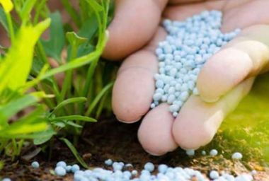 Preţurile îngrăşămintelor agricole au atins maxime record în urma războiului dintre Rusia şi Ucraina