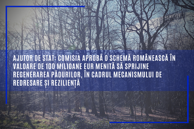 Comisia Europeană aprobă o schemă românească în valoare de 100 milioane euro menită să sprijine regenerarea pădurilor, în cadrul Mecanismului de Redresare şi Rezilienţă
