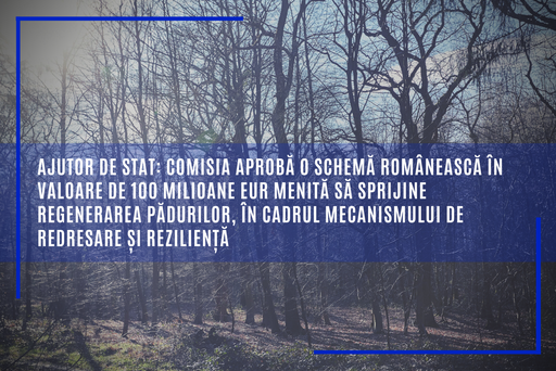 Comisia Europeană aprobă o schemă românească în valoare de 100 milioane euro menită să sprijine regenerarea pădurilor, în cadrul Mecanismului de Redresare şi Rezilienţă
